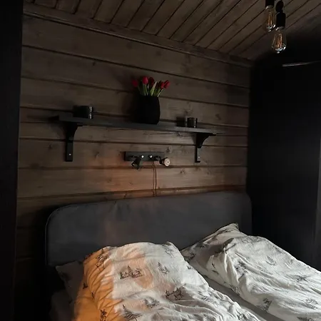 Ferienhaus Cozy In Bjorli, Close To Skiing & Nature