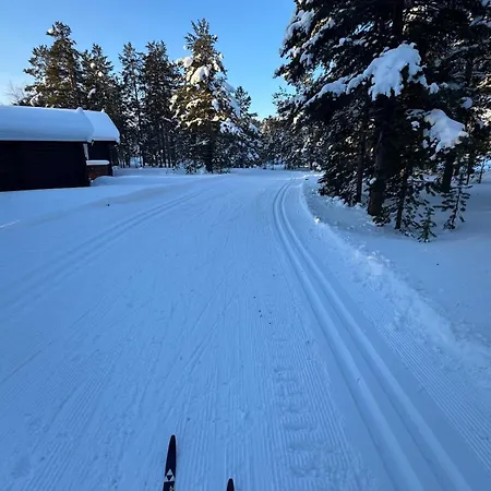 Cozy In Bjorli, Close To Skiing & Nature