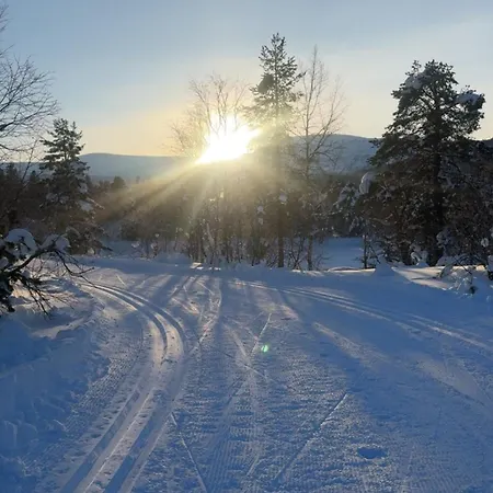 Cozy In Bjorli, Close To Skiing & Nature Ferienhaus *